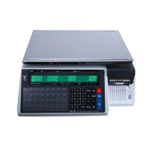 Весы с печатью этикеток DIGI SM-100